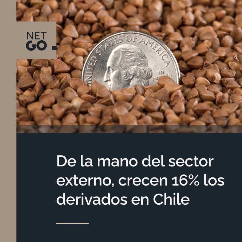 De la mano del sector externo, crecen 16% los derivados en Chile
