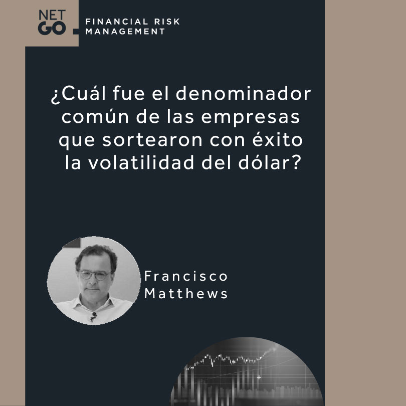 ¿Cuál fue el denominador común de las empresas que sortearon con éxito la volatilidad del dólar?