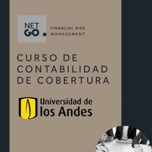 Cuáles son las ventajas que ofrece el Hedge Accounting