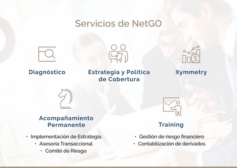 Servicios de NetGO