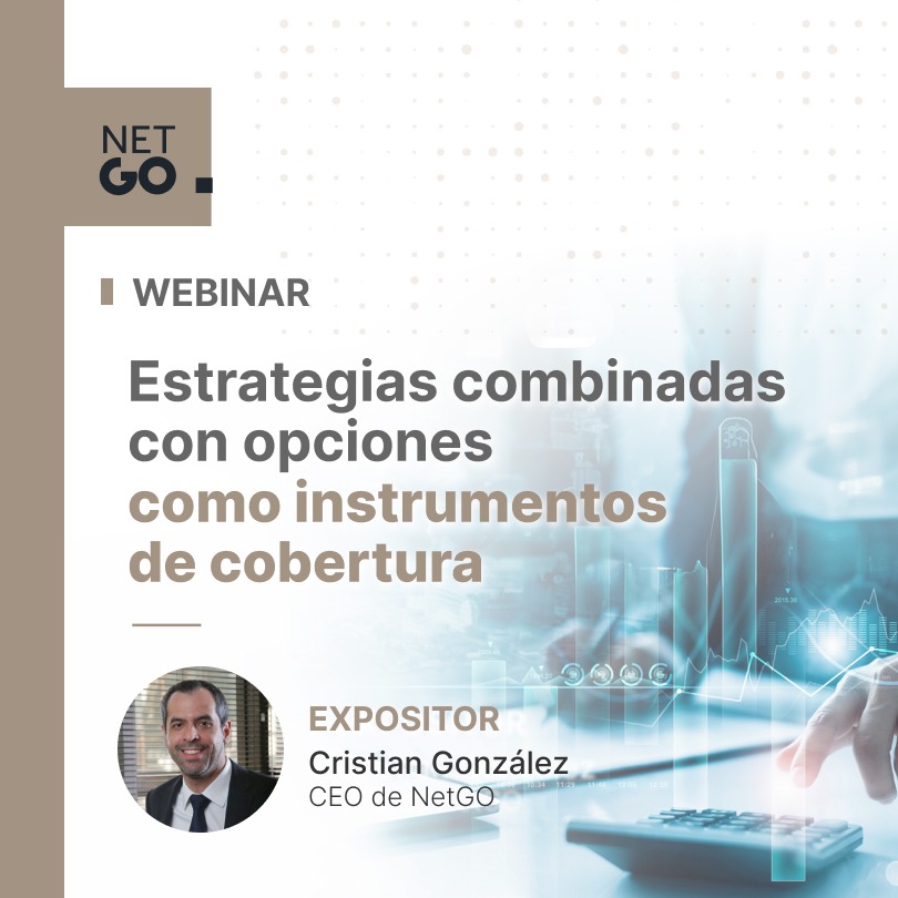 Lee más sobre el artículo Webinar “Estrategias combinadas con opciones como instrumentos de cobertura”